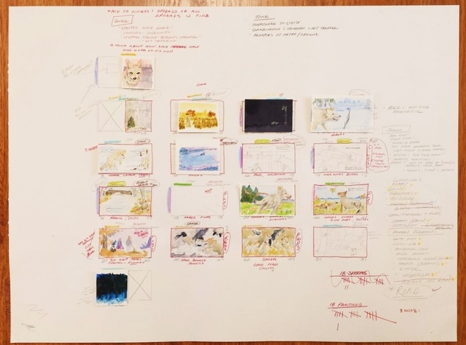 Picture of storyboard
