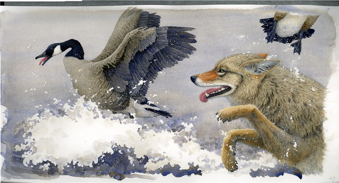 Painting  oc yote chasing a goose.